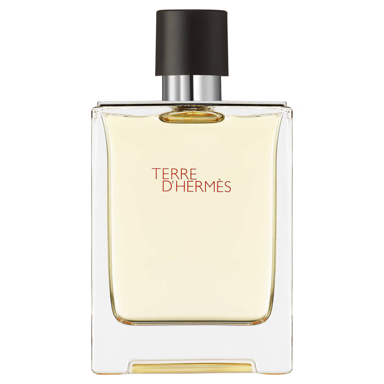 Hermes Terre d'Hermès Eau de toilette 100 ML