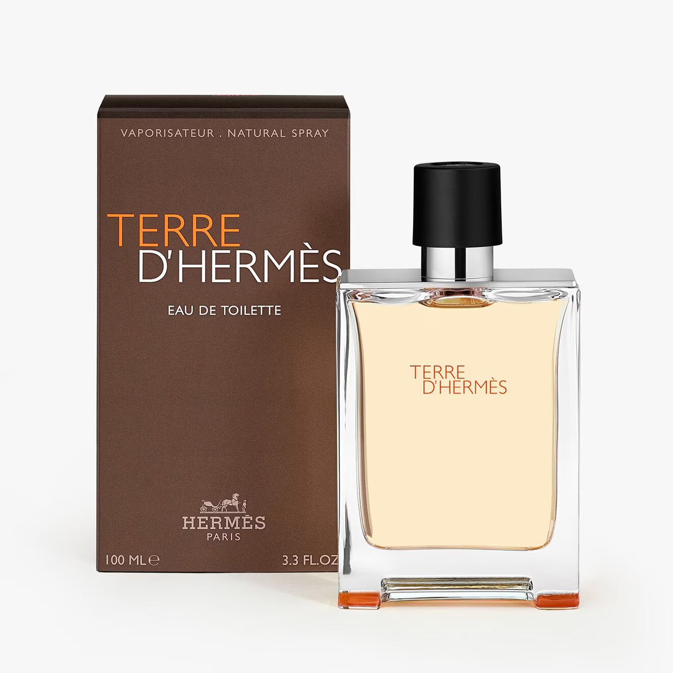 Hermes Terre d'Hermès Eau de toilette 100 ML